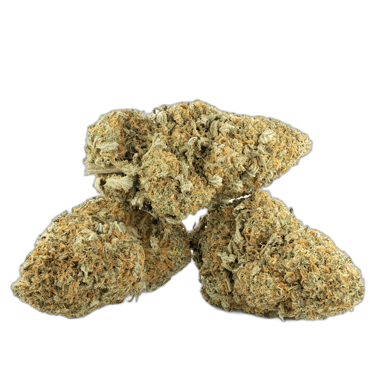 Hawaiian Cookies Strain Multi Shot