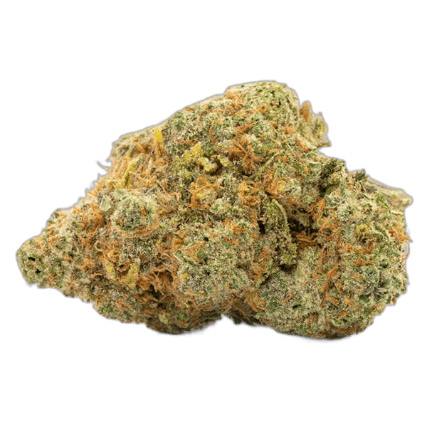 jack herrer