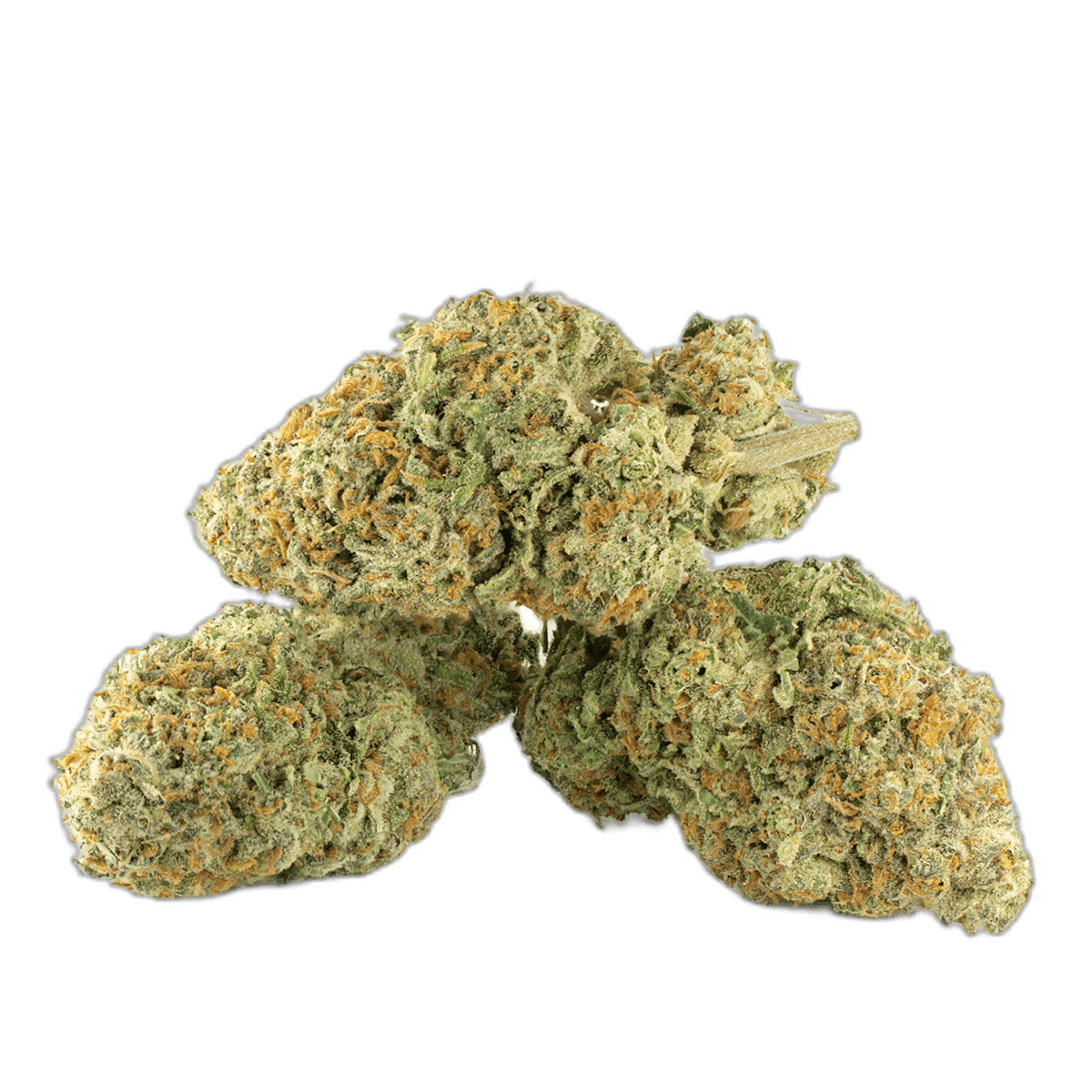 Jack Herer Strain Multi Shot
