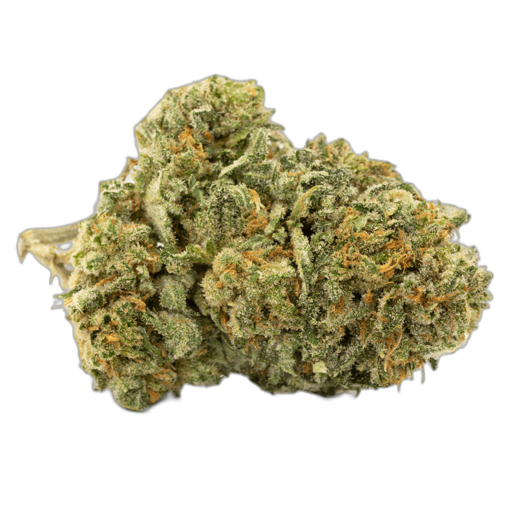 Jamaican