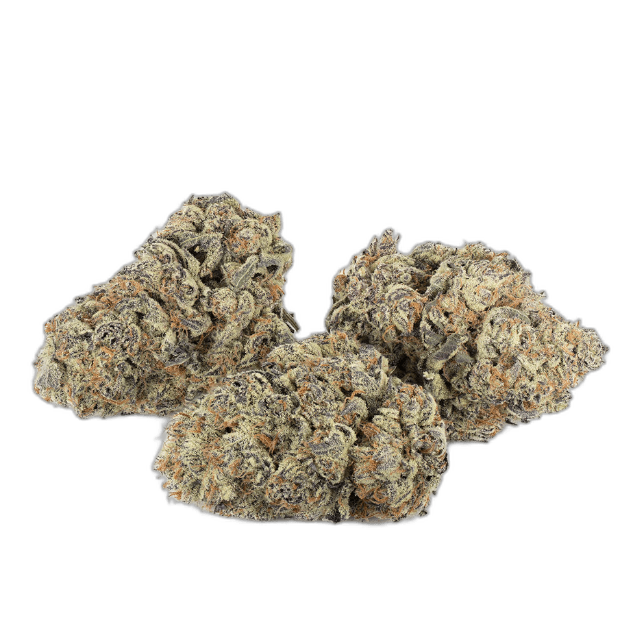 Jelly Donut by Pluto Craft Cannabis Multi Shot