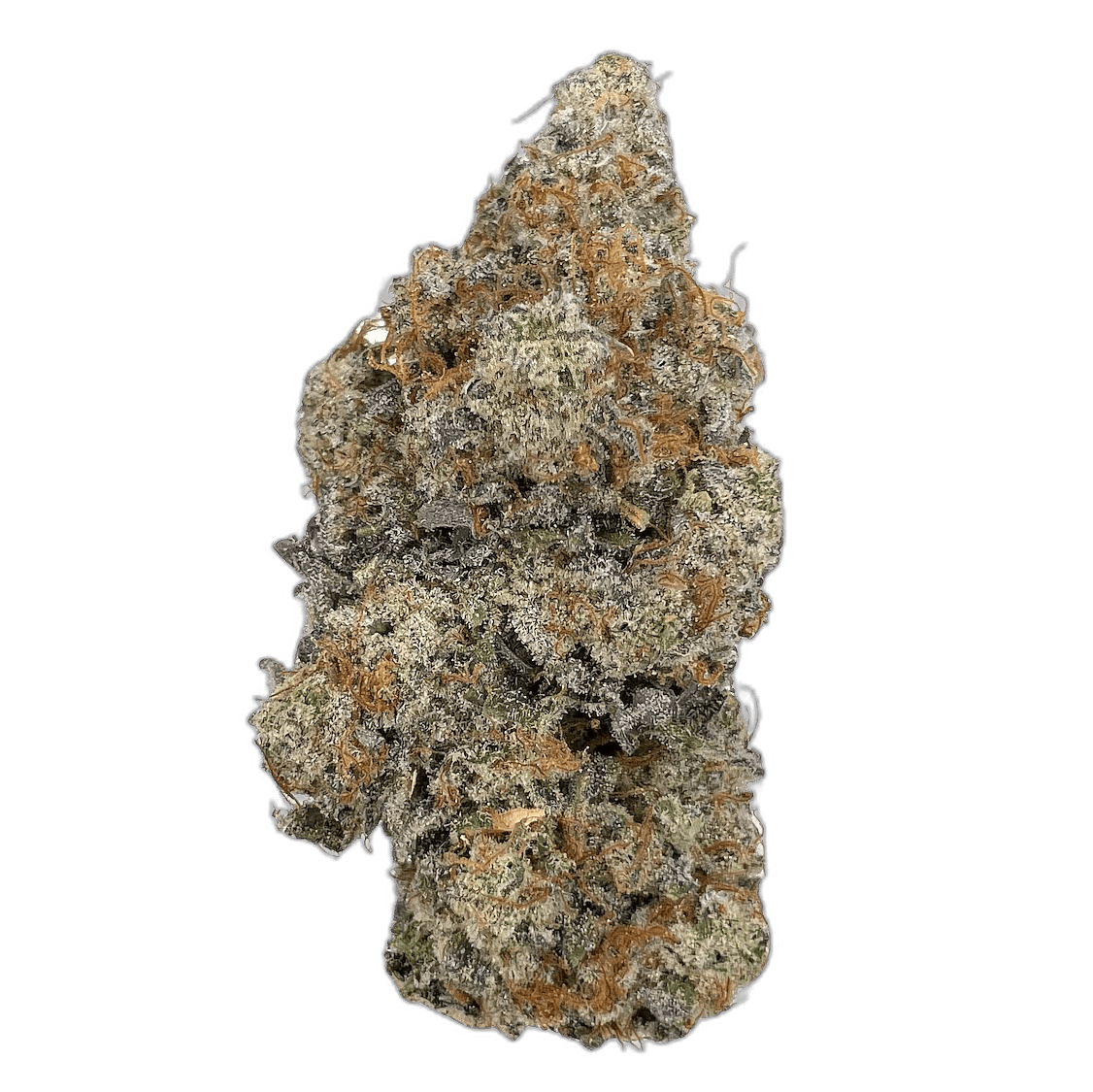 KAMIKAZI APPLE PIE 1.JPG 623