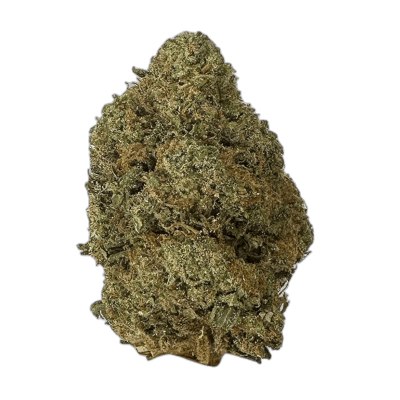 KAMIKAZI BC KUSH 21.JPG 389