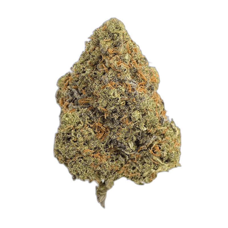 KAMIKAZI BLACK CHERRY GELATO1.JPG 1356