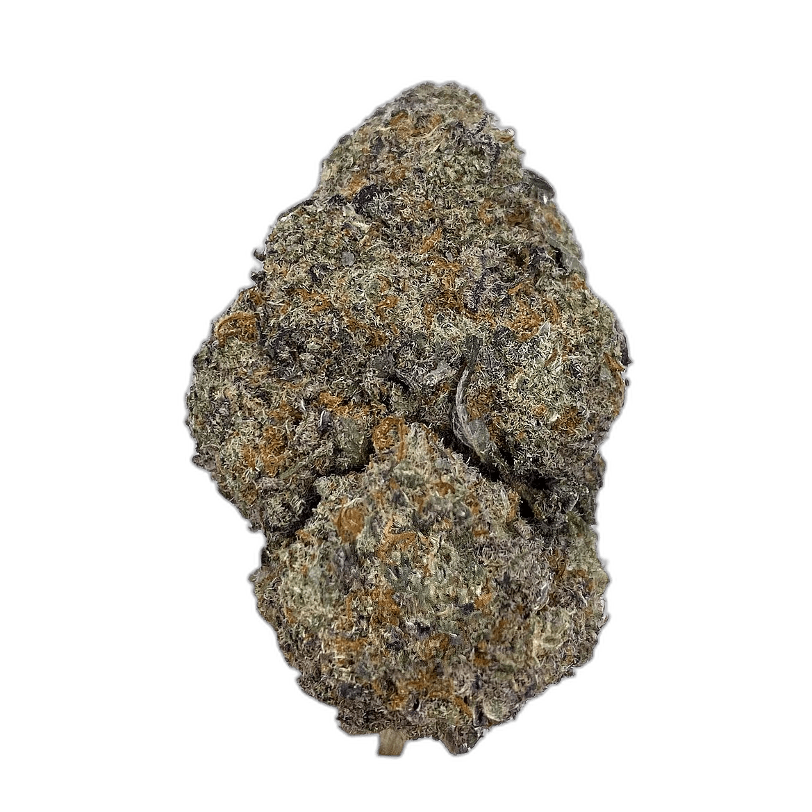 KAMIKAZI BLACK CHERRY SODA 1.JPG 730 2