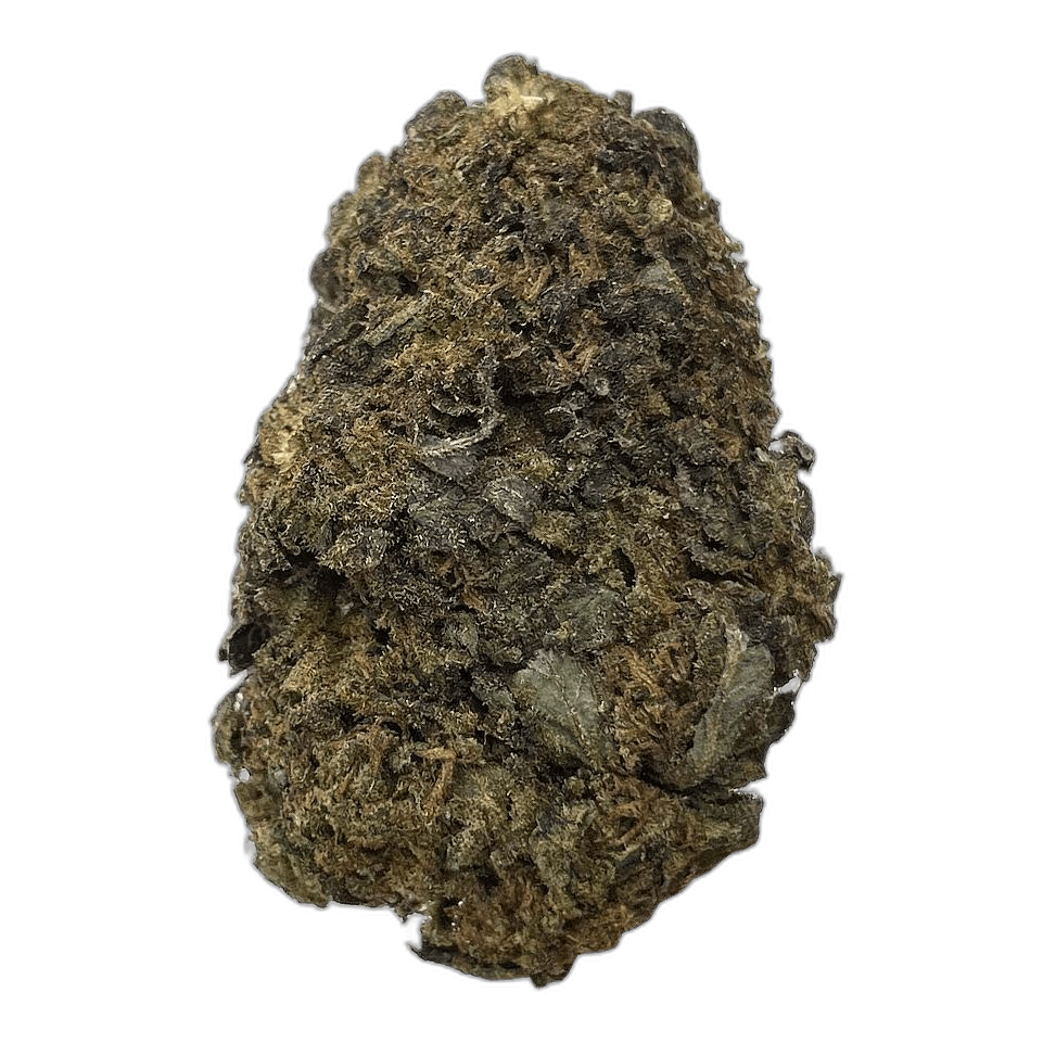 KAMIKAZI BLACK DIAMOND 11.JPG 519