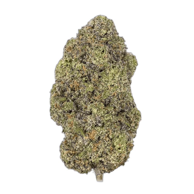 KAMIKAZI BLUE AMNESIA HAZE 1.JPG 1494
