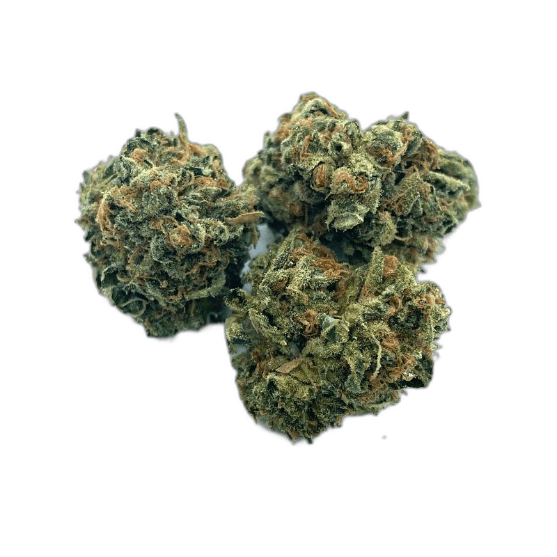 KAMIKAZI CHERRY KUSH.JPG