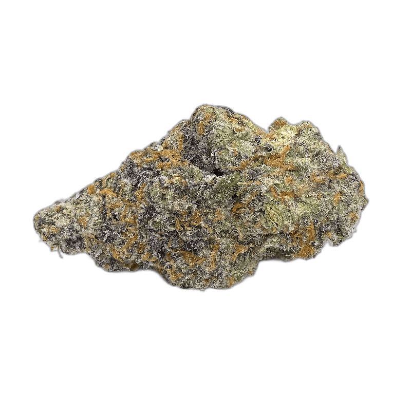 KAMIKAZI DELATO ROSE 1.JPG 771