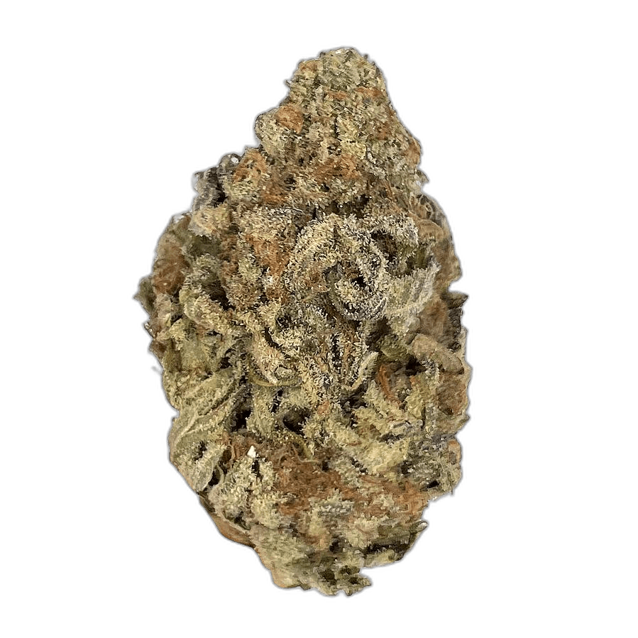 KAMIKAZI GELATO 45 1.JPG 405