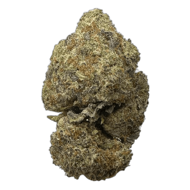 KAMIKAZI GHOST OG 12.JPG 634
