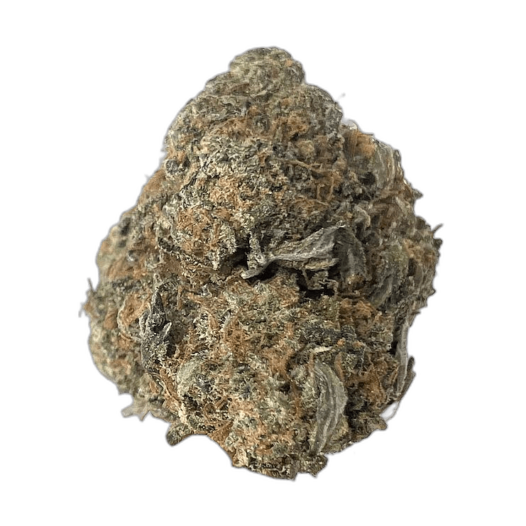 KAMIKAZI GIRL SCOUT COOKIES 2.JPG 325