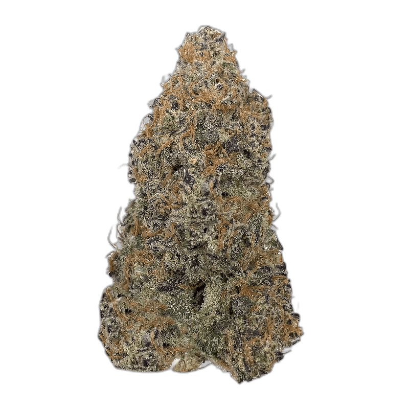KAMIKAZI GMO COOKIES 1.JPG 577