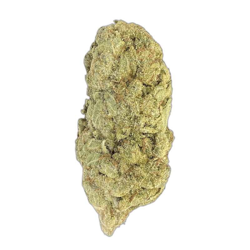 KAMIKAZI HASH PLANT 1 COPY.JPG 3294
