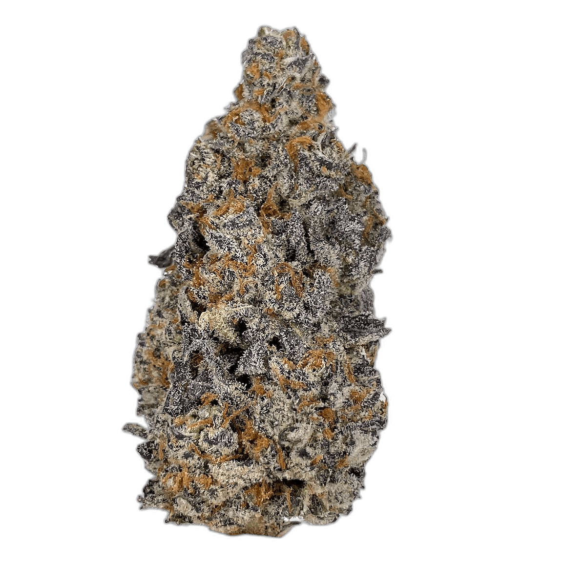 KAMIKAZI JET FUEL GELATO 111.JPG 650