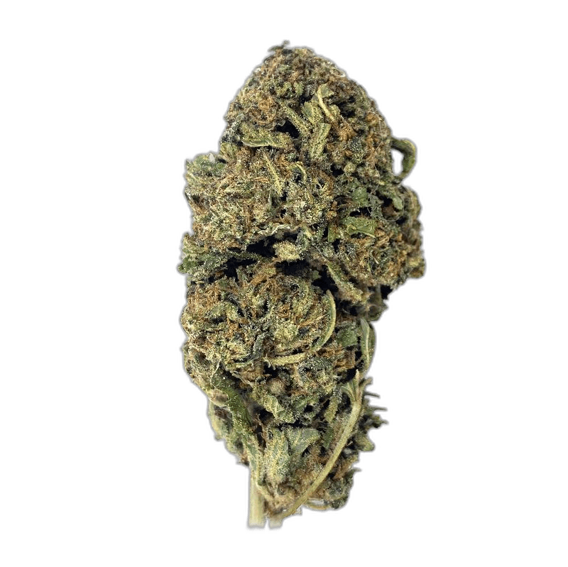 KAMIKAZI KING KUSH 1.JPG 811