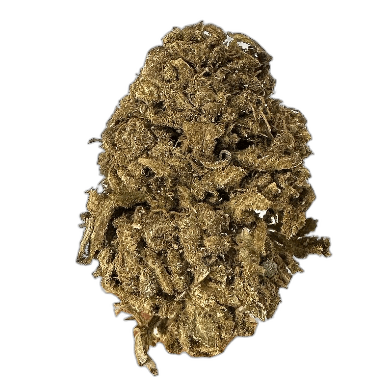 KAMIKAZI LEMON KUSH 1.JPG 449