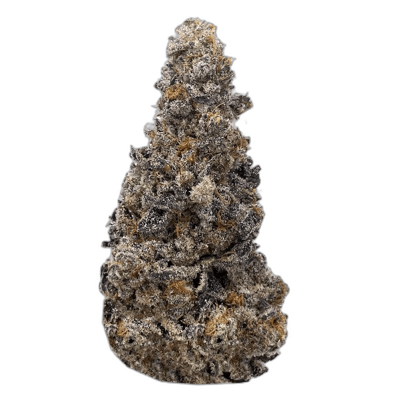 KAMIKAZI MANDARIN COOKIES 2.JPG 648