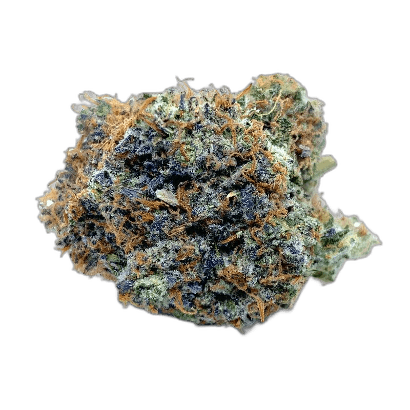 KAMIKAZI ORANGE CREAM SODA.JPG 3252