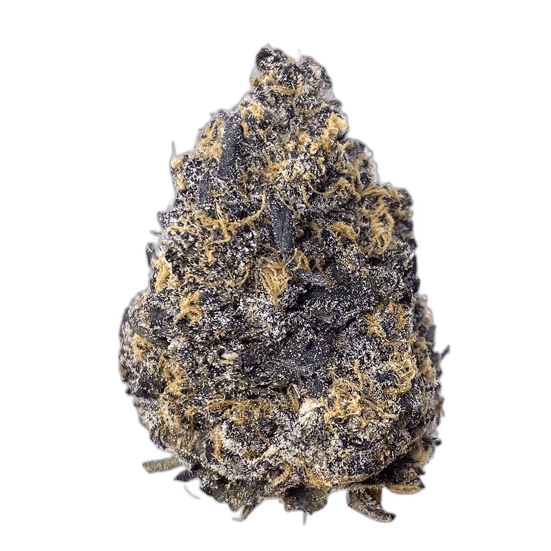 KAMIKAZI PHOENIX OG 2.JPG 676