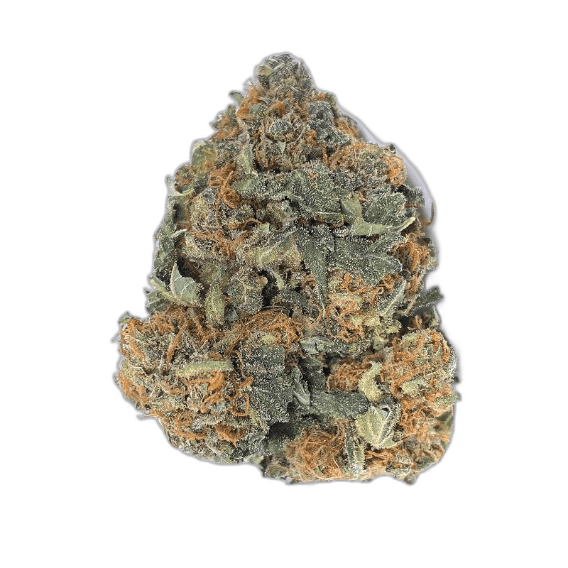 KAMIKAZI ROYAL CHEMDAWG 1 COPY.JPG 1983