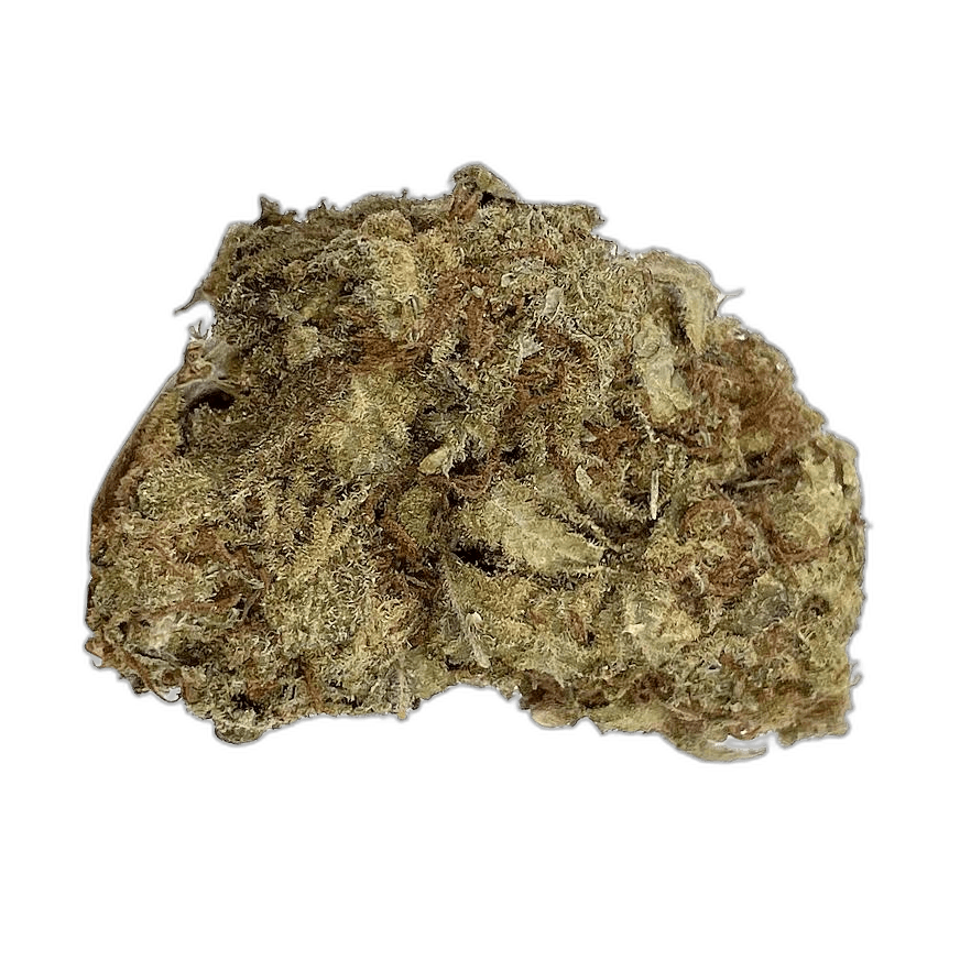 KAMIKAZI SOUR COOKIES 2.JPG 502