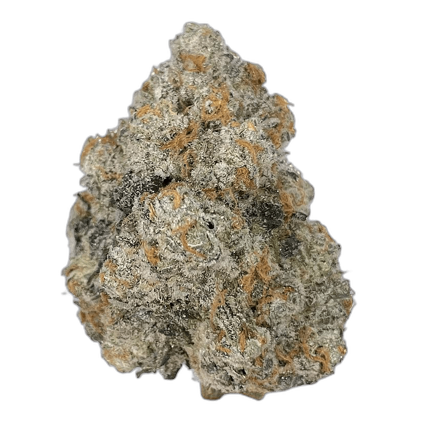 KAMIKAZI STRAWBERRY CHEESECAKE 22.JPG 418