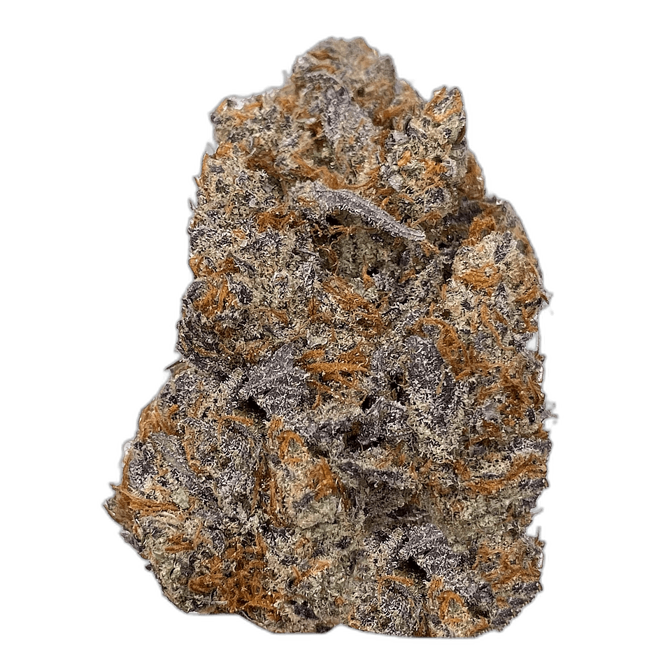 KAMIKAZI SUPER TANGIE 2.JPG 678