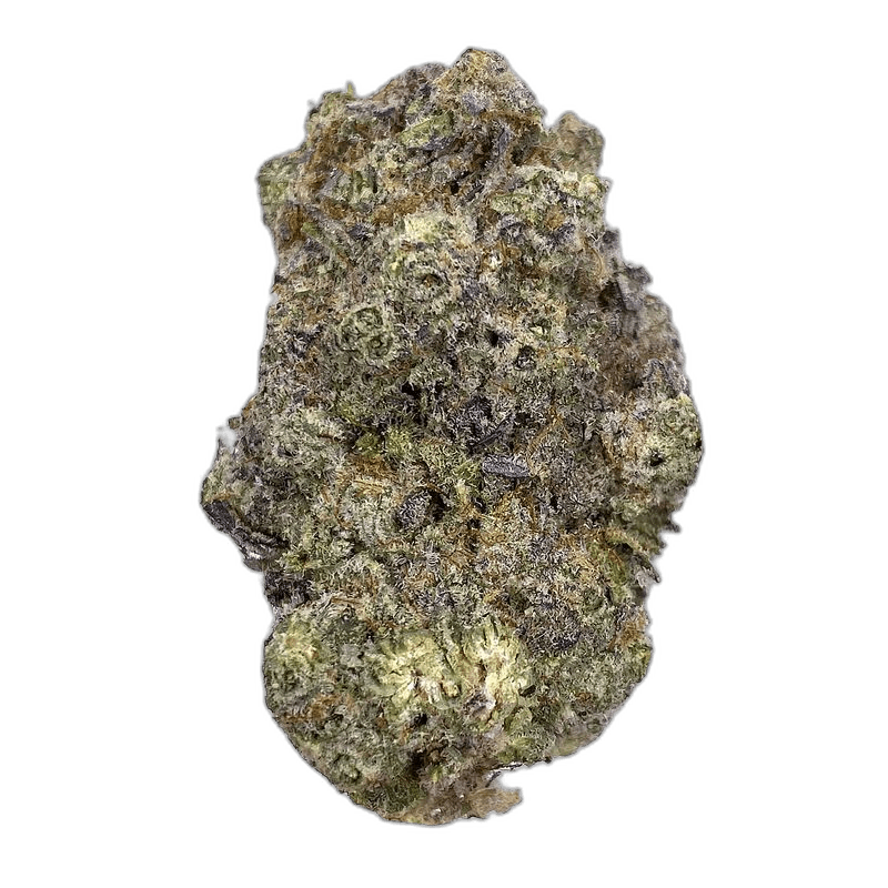 jungle mints