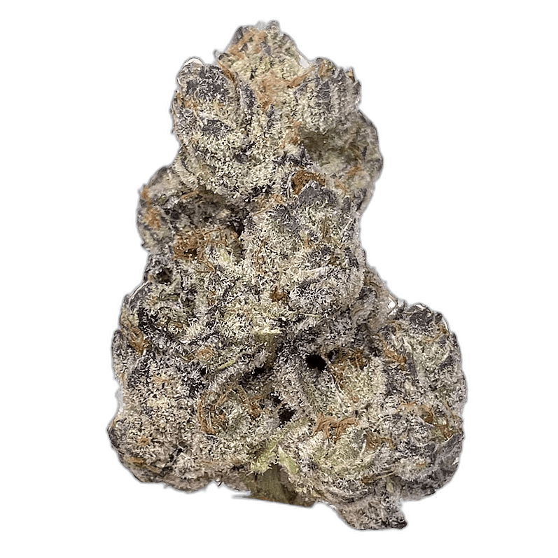 KAMIKAZI UNICORN POOP 3.JPG 403
