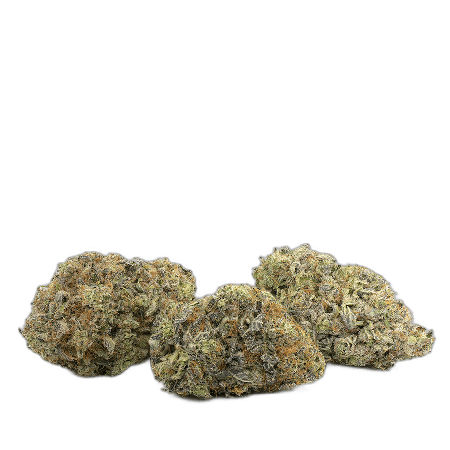 Key Lime Pie Multi