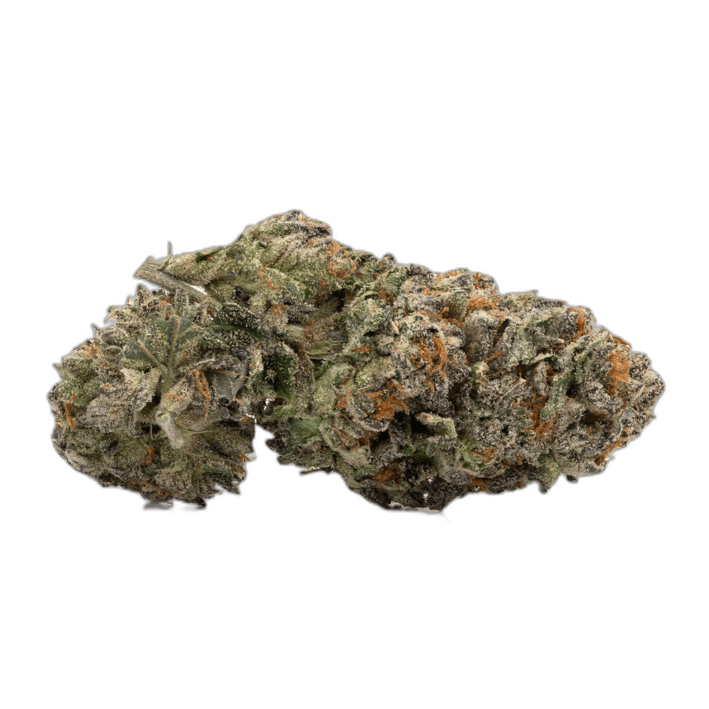 Master Kush