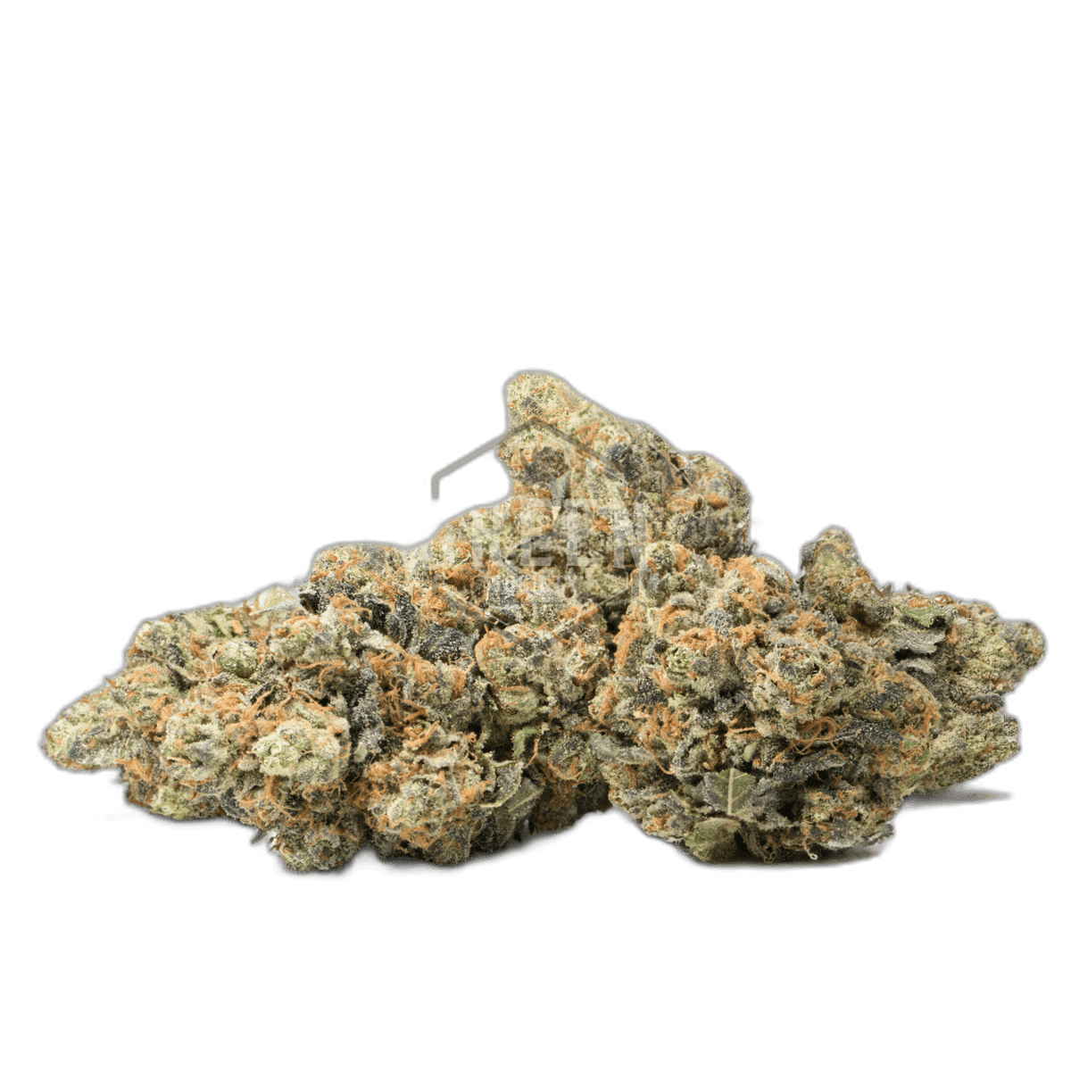 Mendo Breath Buds
