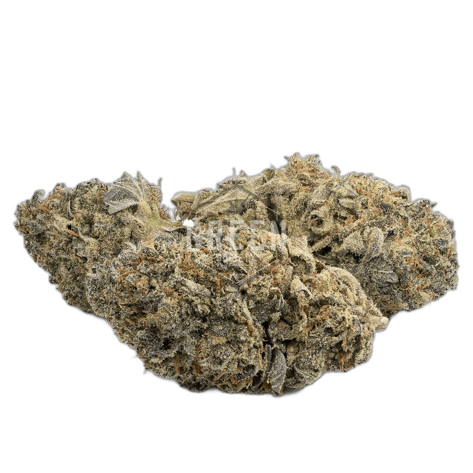 Mendocino Purps Strain