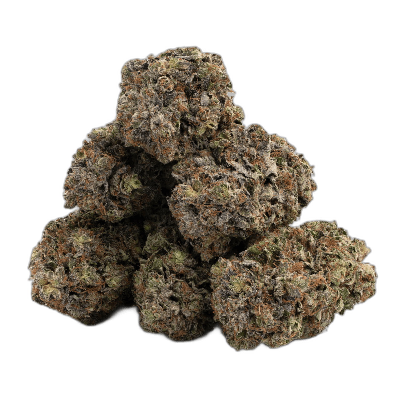 Northern Lights