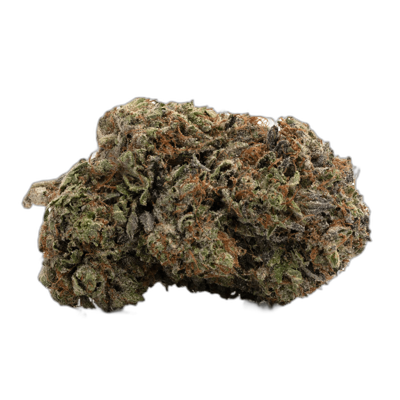 Northern Lights