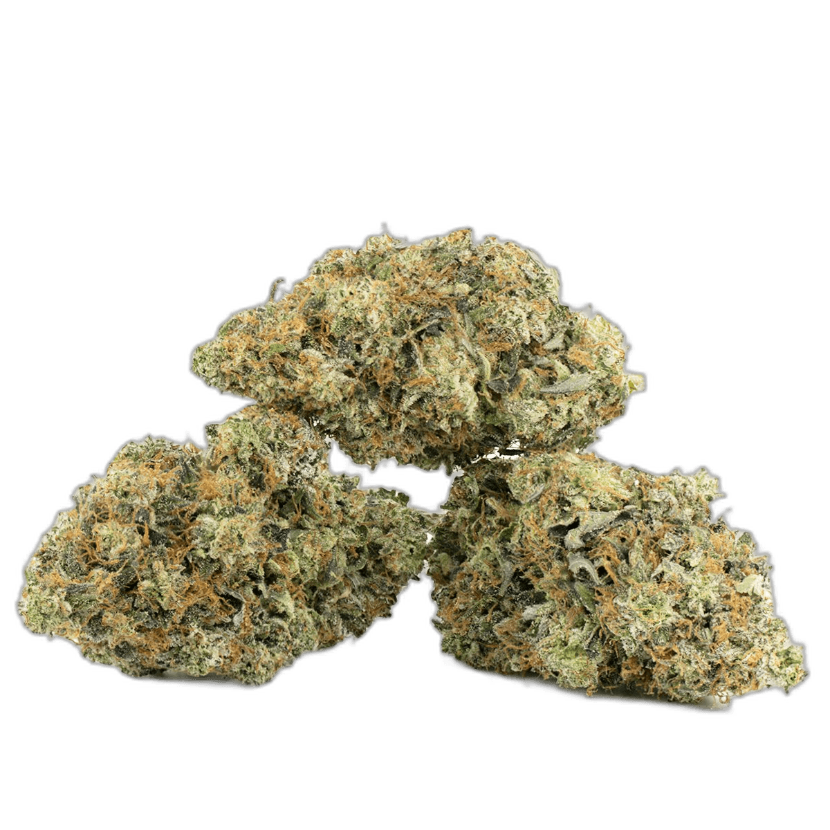 Northern Lights Strain Multi Shot