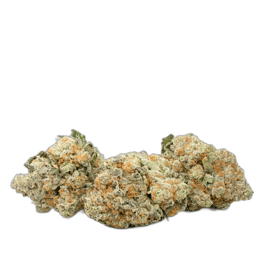 Orange Crush Multi