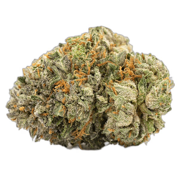Bubba Red
