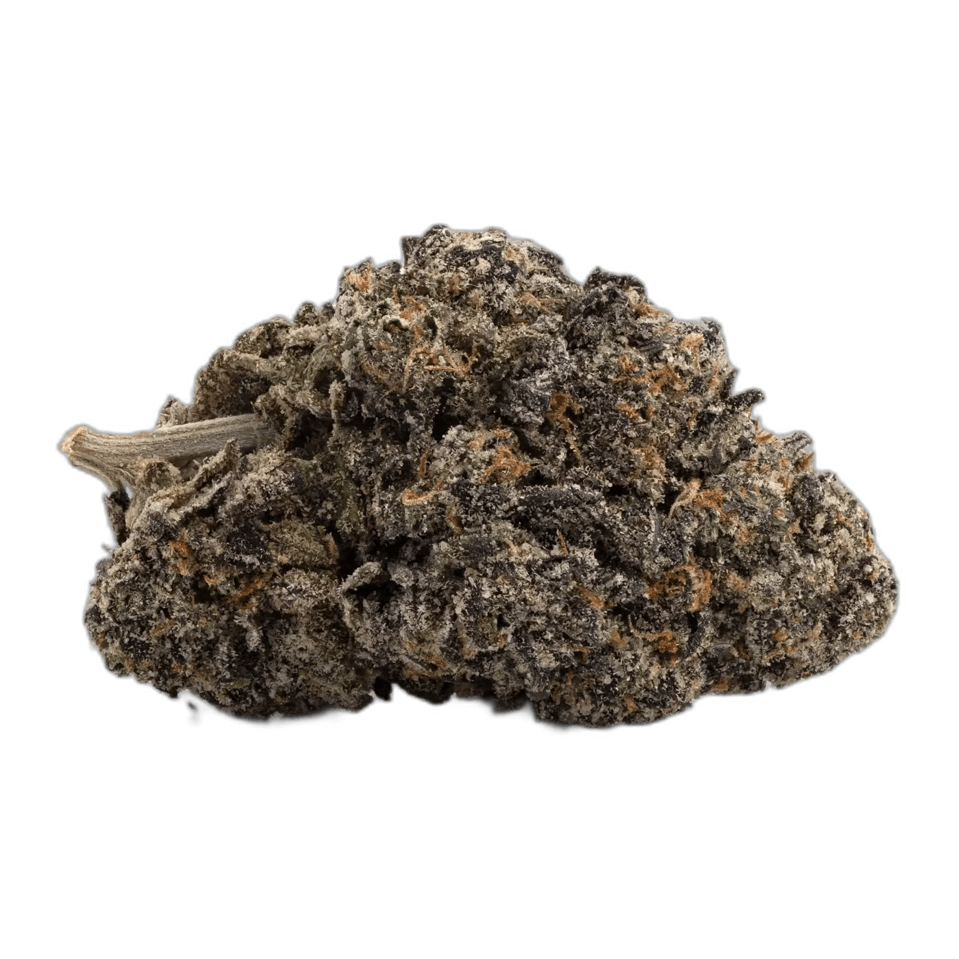 Purple Berry Skunk