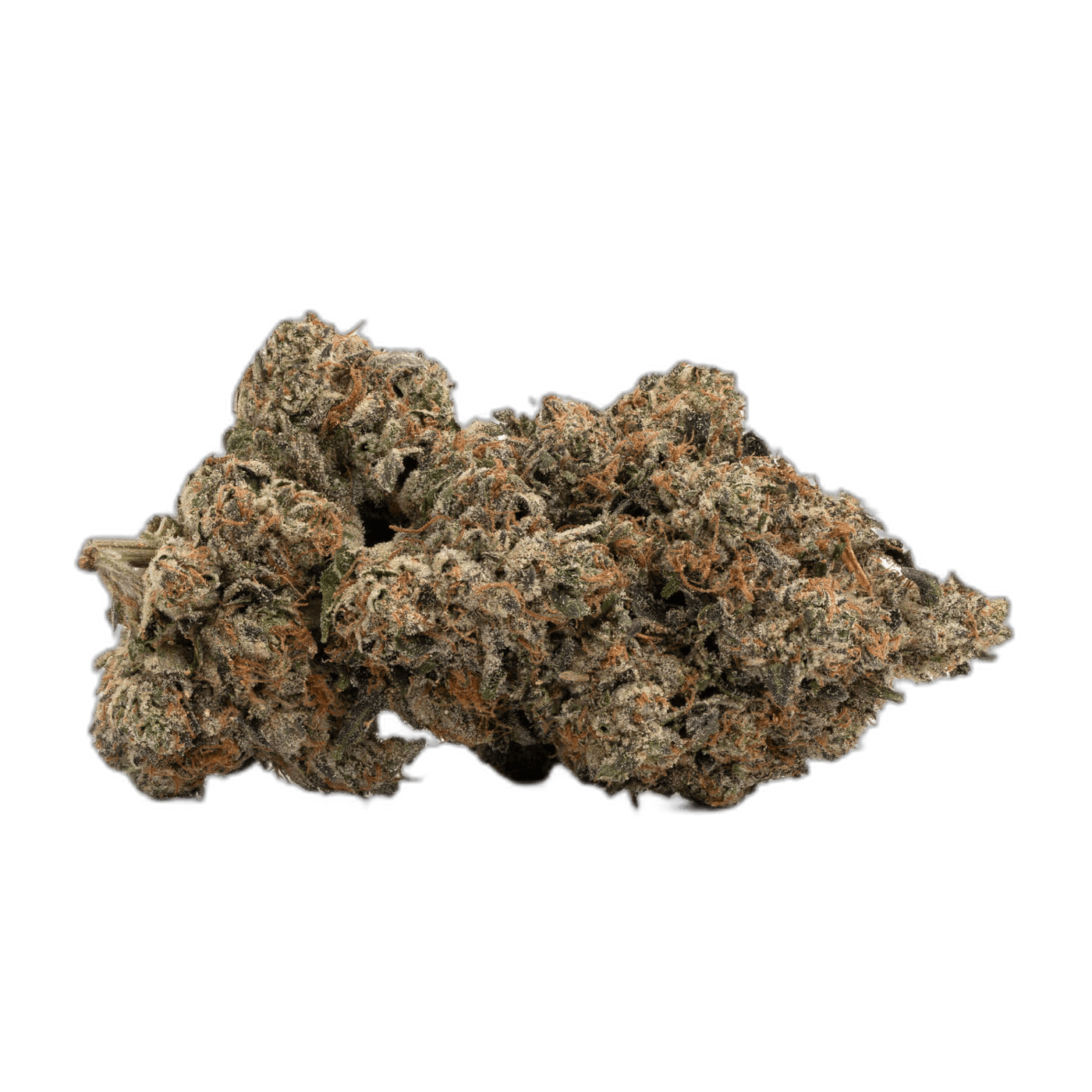 Purple Kush