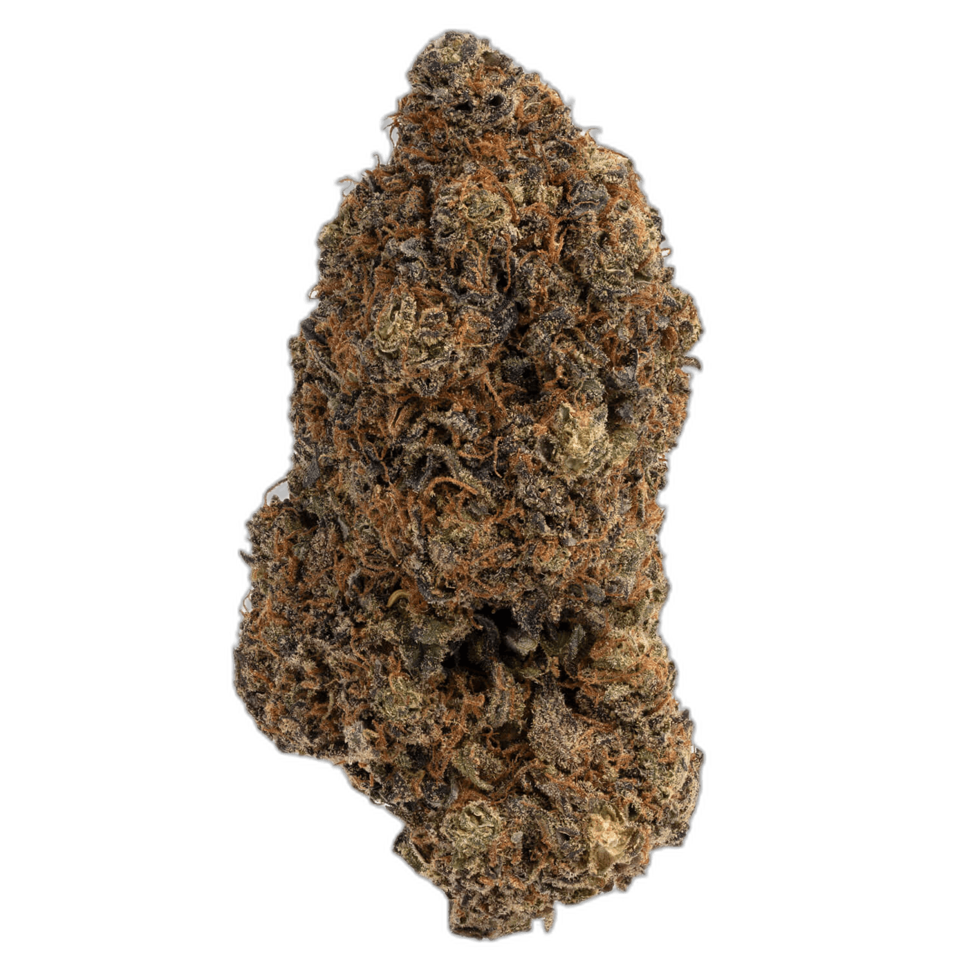 Purple Magic 1