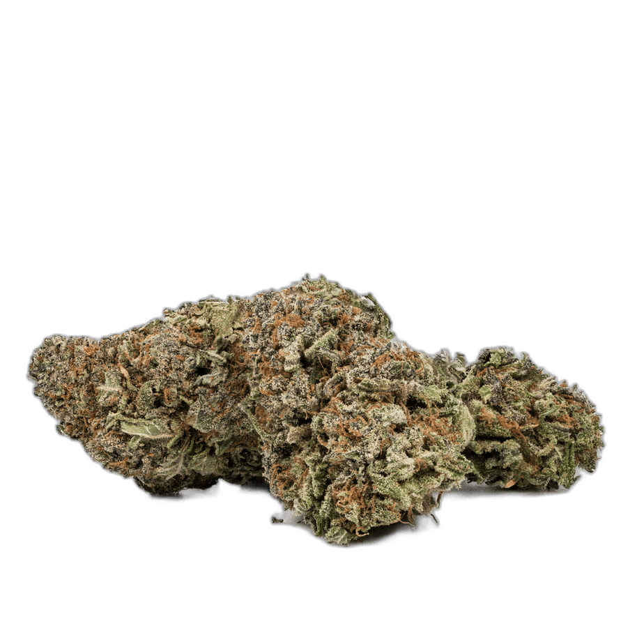 Purple Nuken Buds