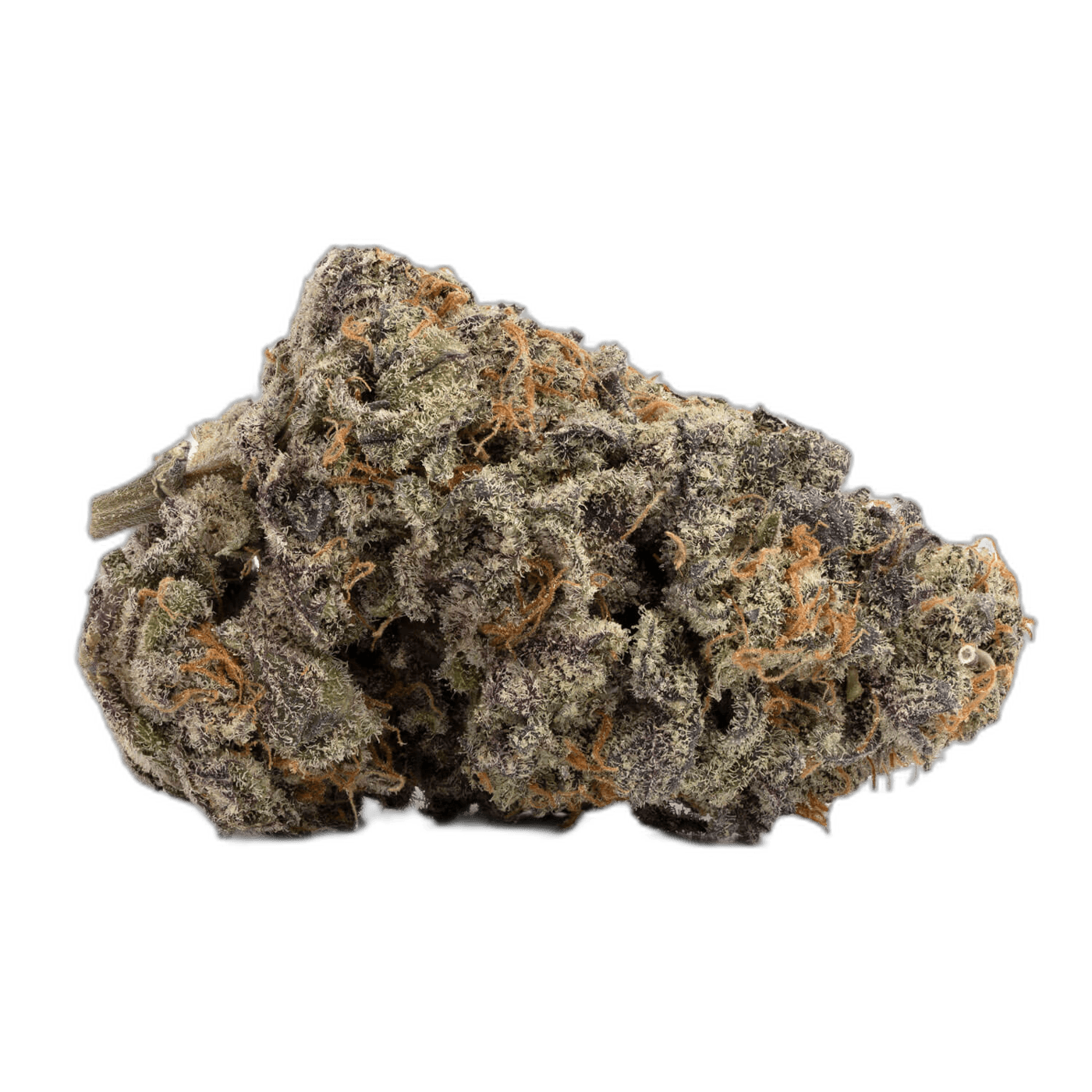 Purple Urkle