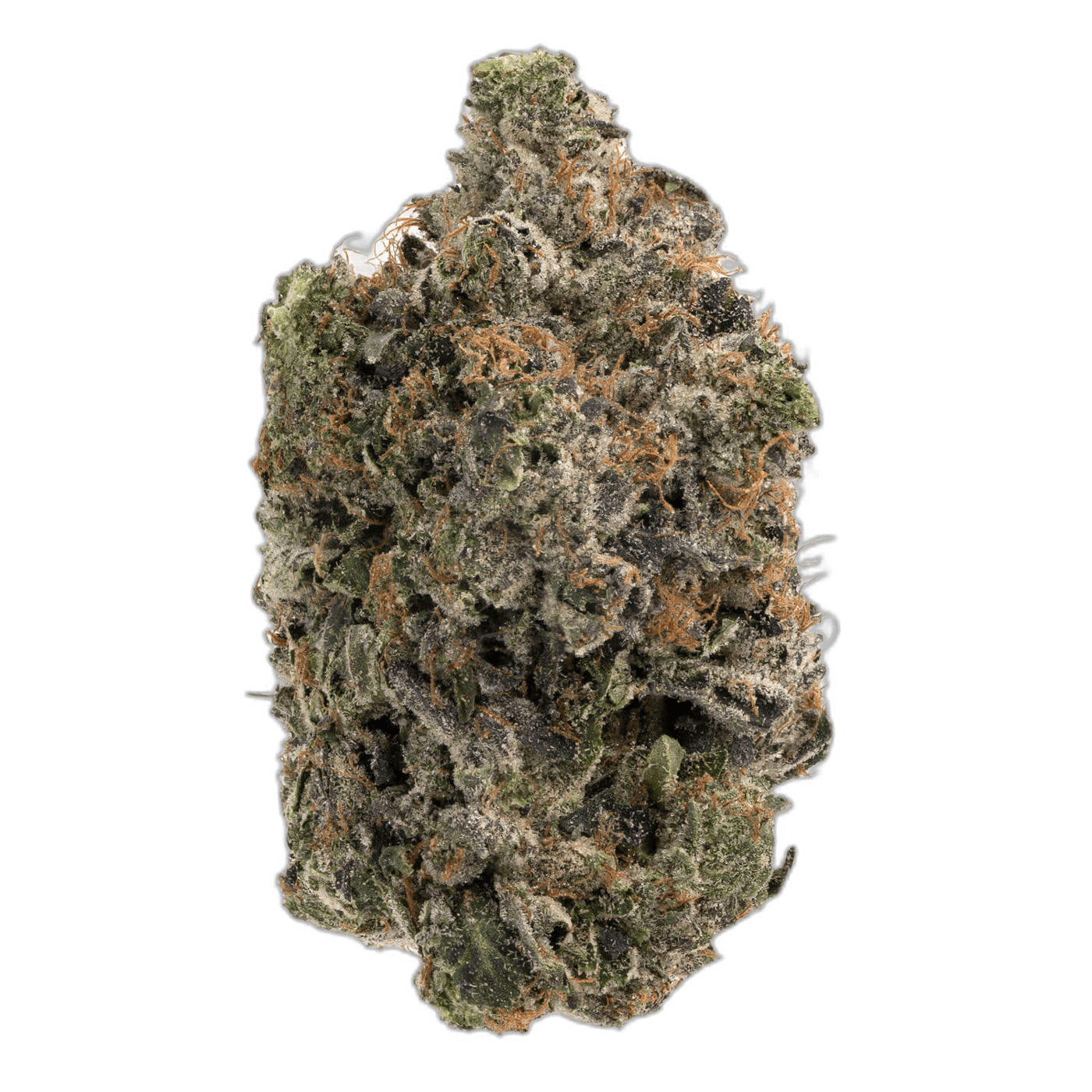 Rainbow Kush Mint