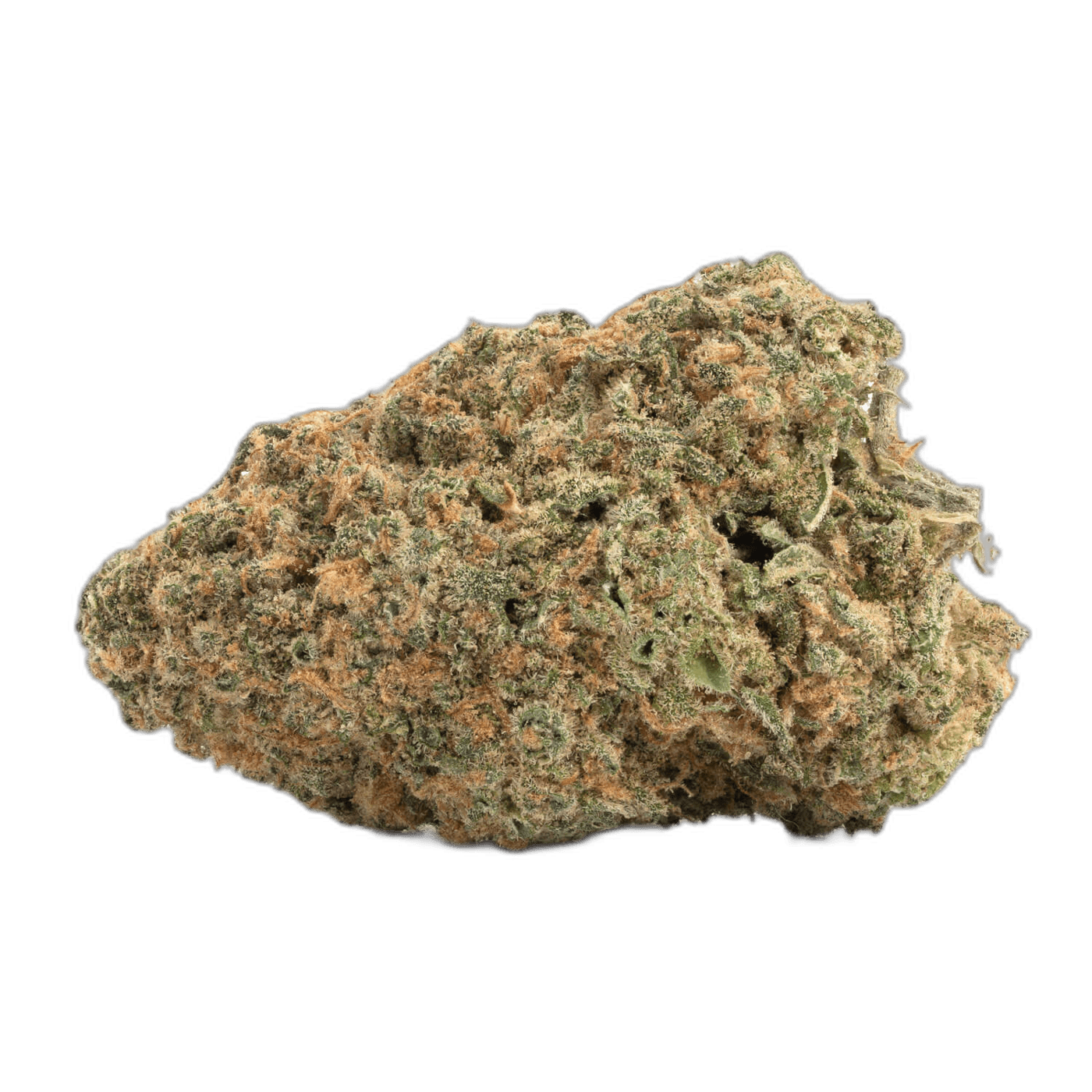 Red Congolese