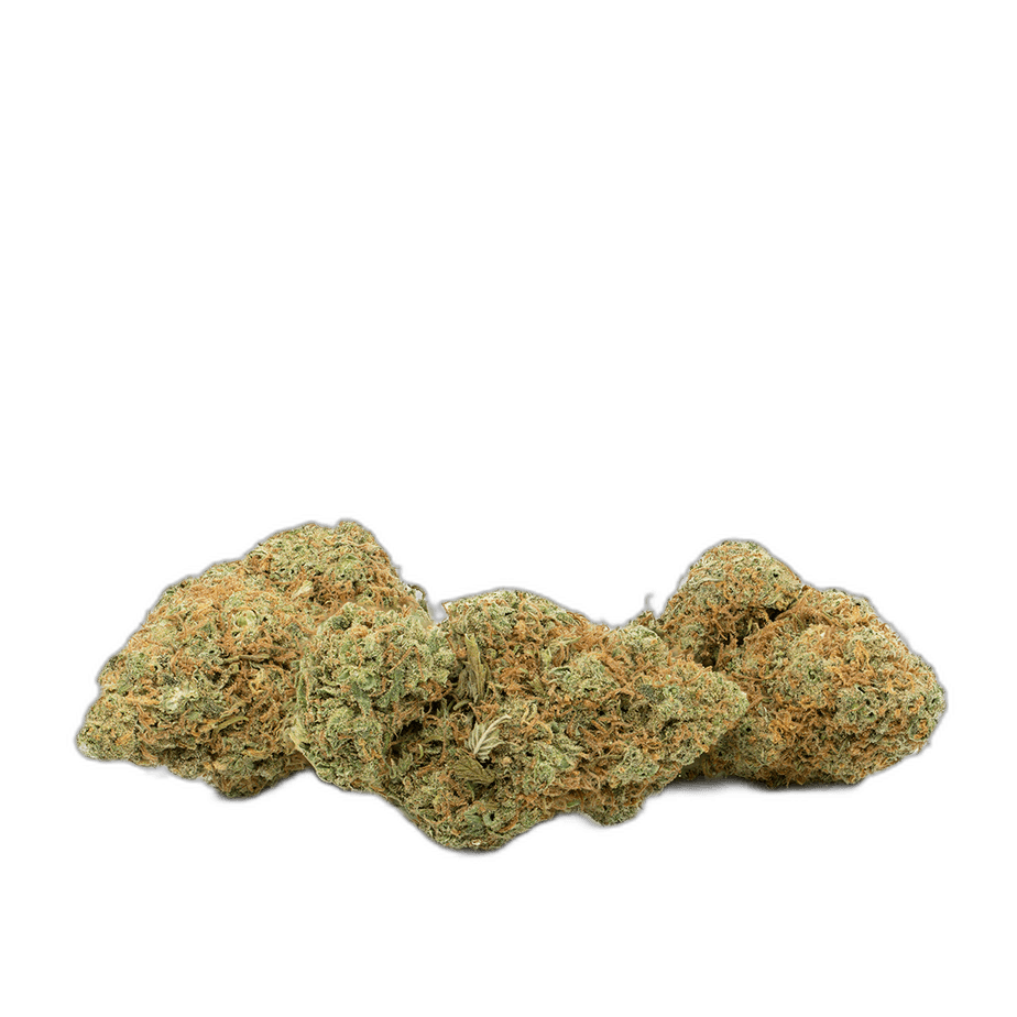 Red Congolese Multi