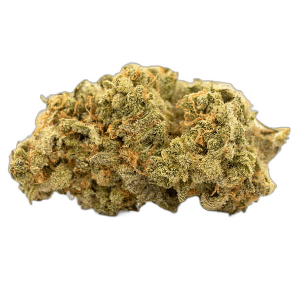Red Dragon