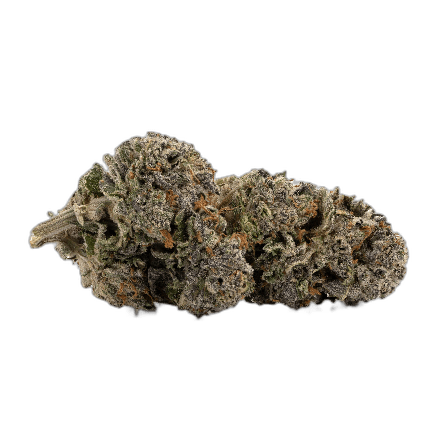 Rockstar Diesel