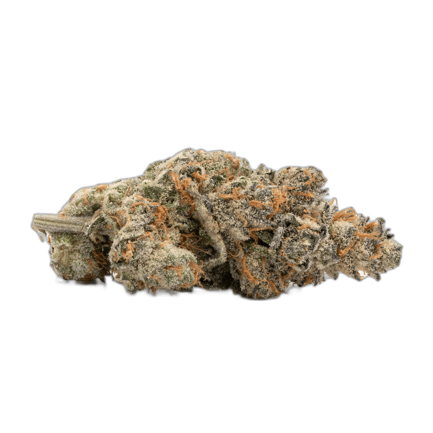 Shishkaberry 2